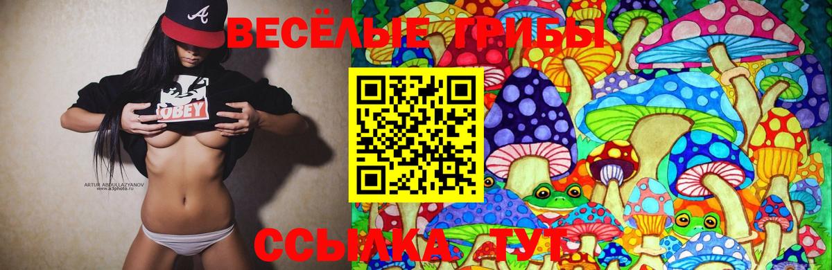 наркотики  Галлюциногенные грибы GOLDEN TEACHER  Галлюциногенные грибы GOLDEN TEACHER  Вход с VPN  Моздок 